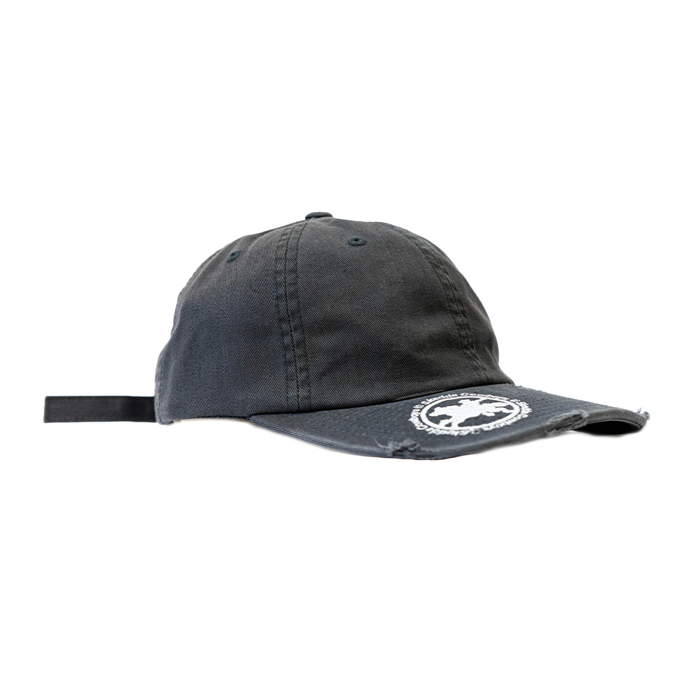 Cowboys Dad Cap Grey