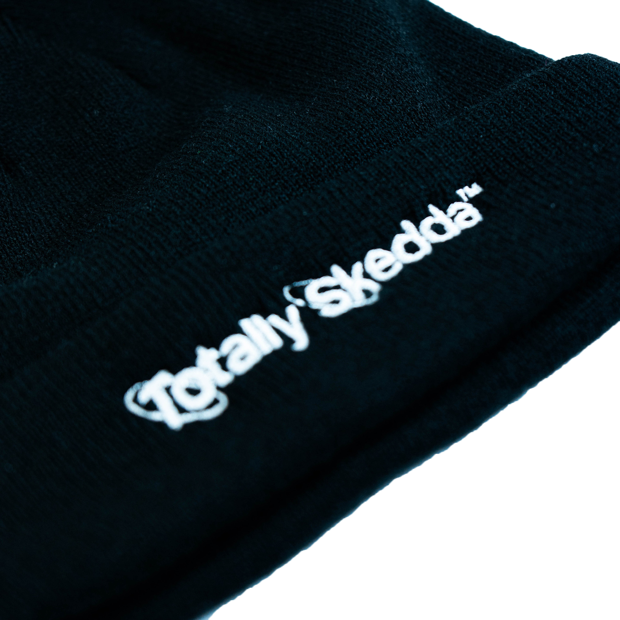 Stolen Ideas Beanie